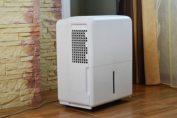 Whole-Home Air Purification Systems Whole-Home Air Purification Systems